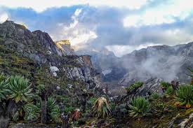 Rwenzori Mountains